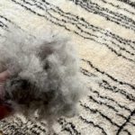 Say Goodbye to Stains: Top-Notch Carpet Cleaning Solutions in New York