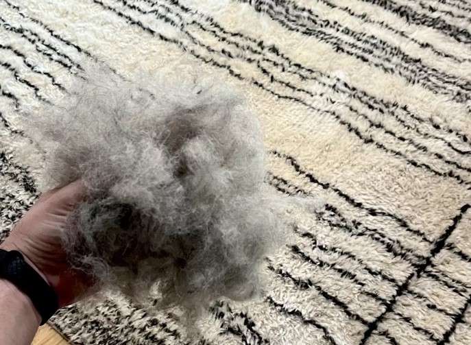 Say Goodbye to Stains: Top-Notch Carpet Cleaning Solutions in New York