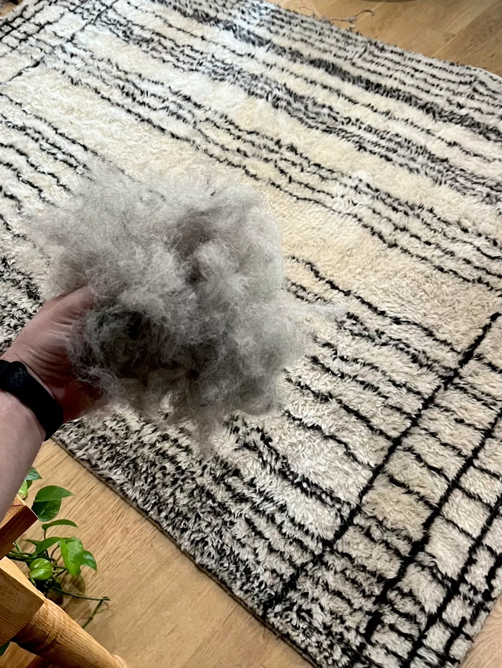 Before cleaning