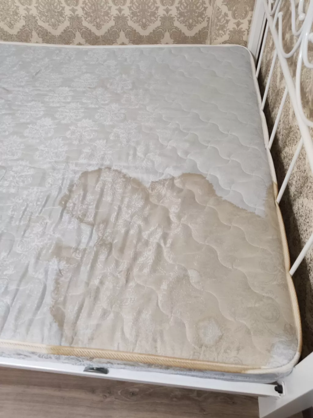 Before cleaning